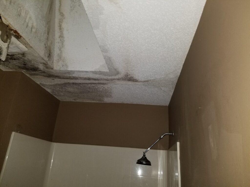 Mold to the bathroom after Water damage.