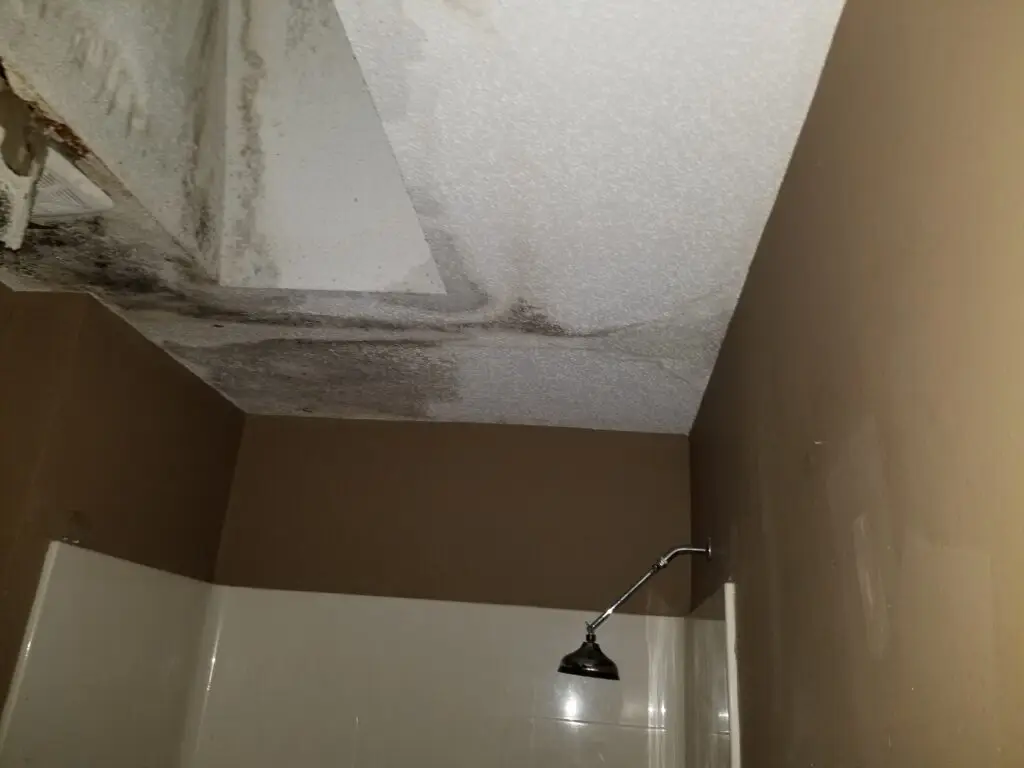 Mold to the bathroom after Water damage.