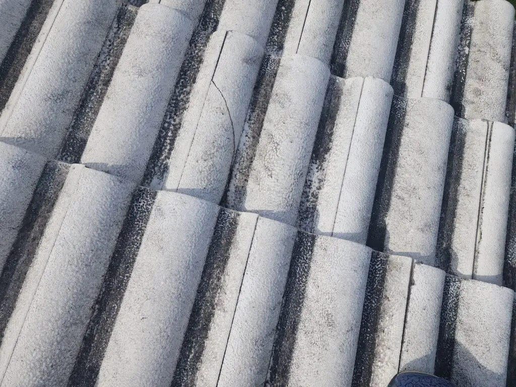 Cracked Tile on Damaged Tile Roof