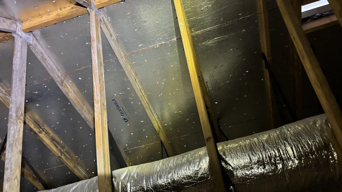 Attic framing and ducts during a damage inspection