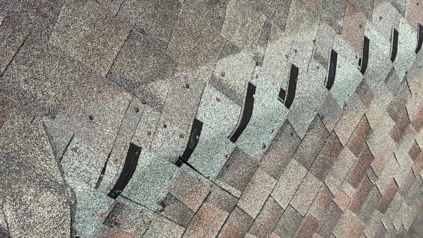 Wind-lifted roof shingles on a Florida home