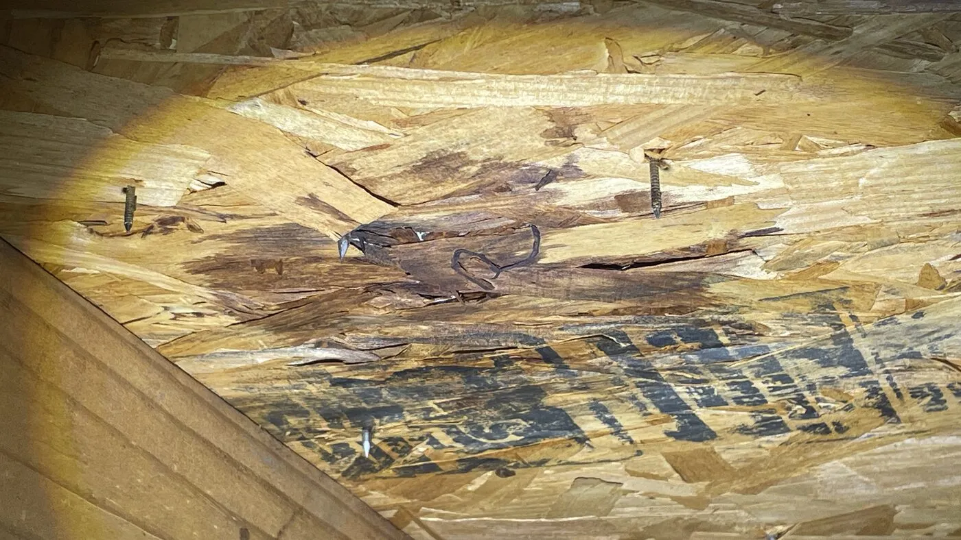 Water-stained roof sheathing with rusted nails
