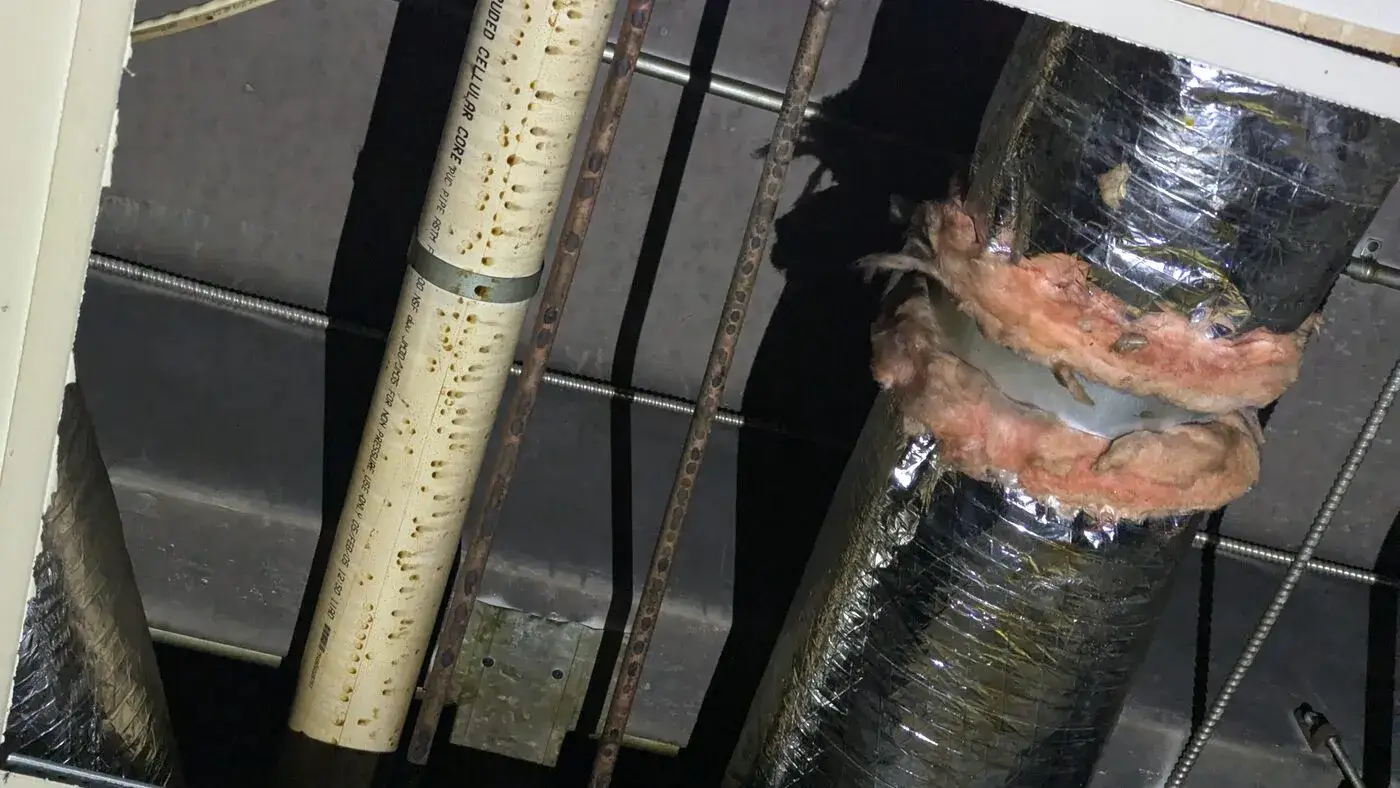 Exposed ceiling cavity with a water-damaged pipe and duct